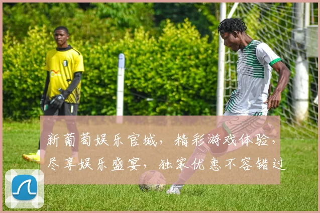 新葡萄娱乐官城，精彩游戏体验，尽享娱乐盛宴，独家优惠不容错过，畅玩无限