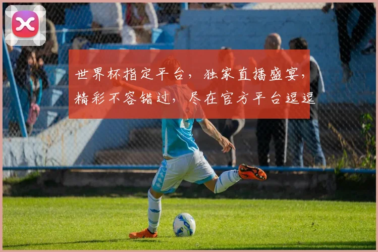 世界杯指定平台，独家直播盛宴，精彩不容错过，尽在官方平台逗逗逗