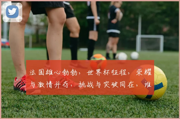 法国雄心勃勃，世界杯征程，荣耀与激情并存，挑战与突破同在，谁能问鼎巅峰