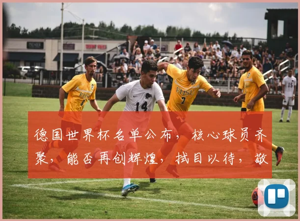 德国世界杯名单公布，核心球员齐聚，能否再创辉煌，拭目以待，敬请关注