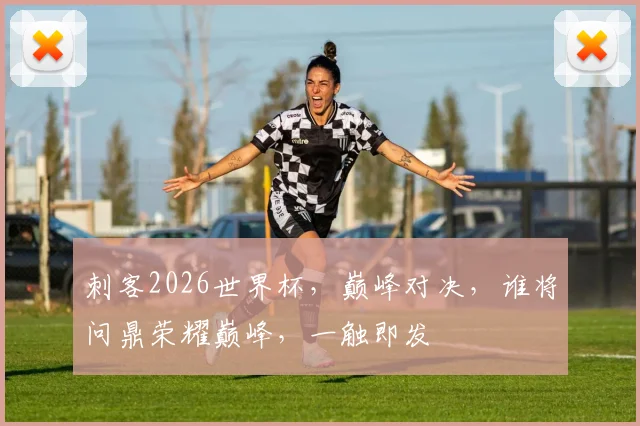刺客2026世界杯，巅峰对决，谁将问鼎荣耀巅峰，一触即发