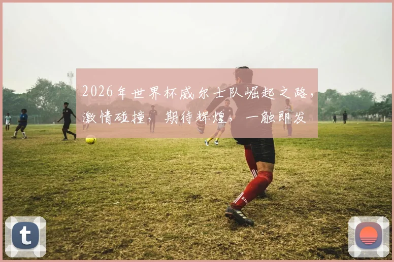 2026年世界杯威尔士队崛起之路，激情碰撞，期待辉煌，一触即发