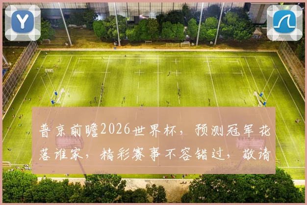 普京前瞻2026世界杯，预测冠军花落谁家，精彩赛事不容错过，敬请期待
