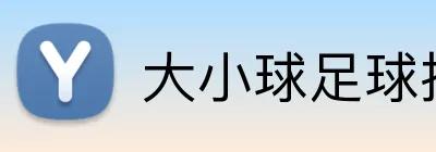 大小球足球投注高赔率 Logo
